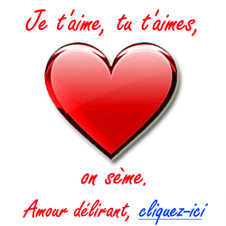 amour