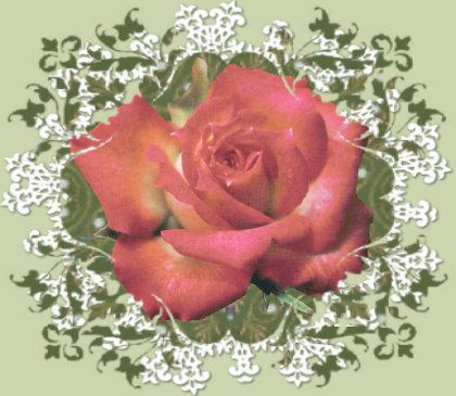 chemain de l'amour